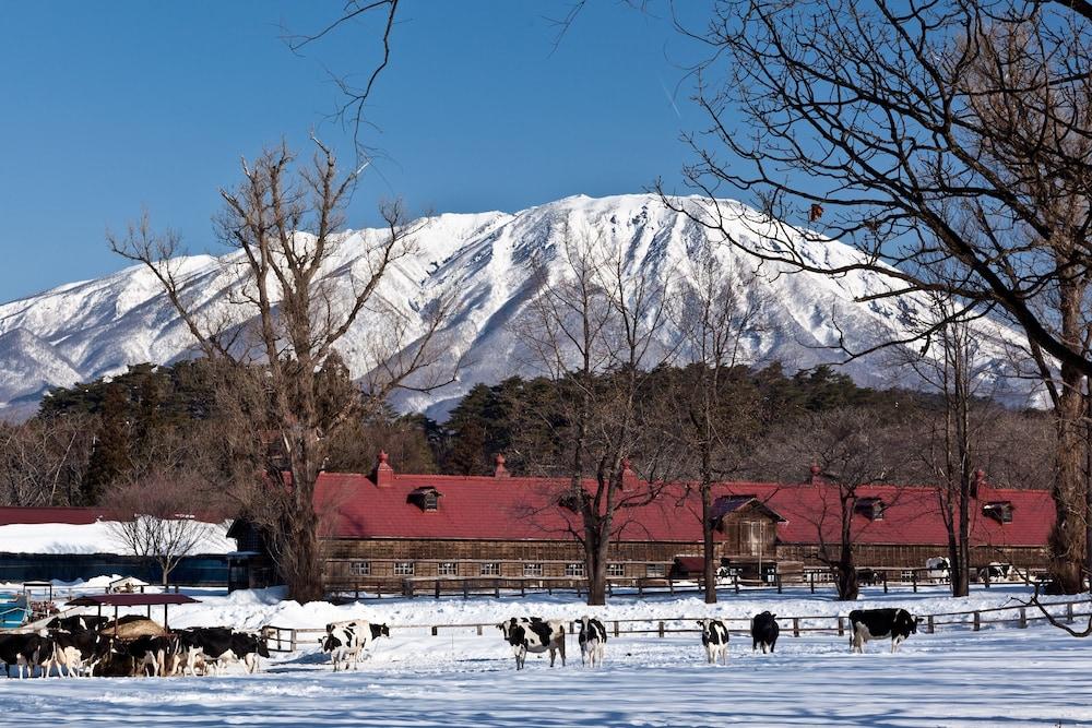 Kyukamura Iwate-Amiharionsen 雫石町 外观 照片